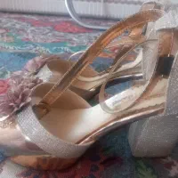 کفش در حد نو|کیف، کفش، کمربند|خان ببین, |دیوار