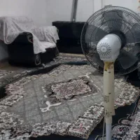 فرش ۹ متری فیلی طوسی ماشینی|فرش|رشت, جماران|دیوار