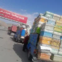 نگهبان|استخدام سرایداری و نظافت|تخت, |دیوار