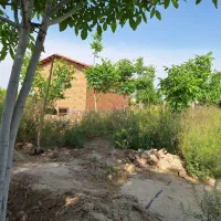 باغ-ویلا-پیشوا-روستای-تجره-ستد-شش-دانگ
