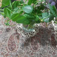 معاوضه گل اسکاندیس سبزباابلغ