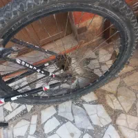 دوچرخه ۲۶ اساک|دوچرخه، اسکیت، اسکوتر|میرجاوه, |دیوار