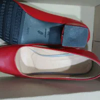 کفش مجلسی|کیف، کفش، کمربند|سقز, |دیوار