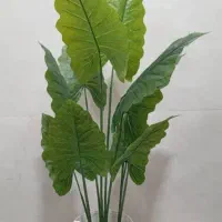 درختچه مصنوعی|گل مصنوعی|بندر کنگان, |دیوار