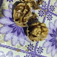 سه کیلو گردوی امسال پوست کاغذی|خوردنی و آشامیدنی|تهران, قصر فیروزه ۱|دیوار