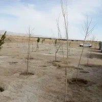 زمین5هزارمتری شاهنامه گوارشک حسن آباد سنددار|فروش خانه و ویلا|مشهد, جاهد شهر|دیوار