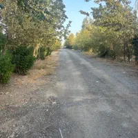 ۶۰۰متر باغچه فیروز بهرام چسب جاده اصلی