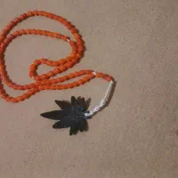 تسبیح داز خرمای وحشی