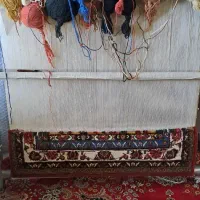 قالی 1در1ونیم