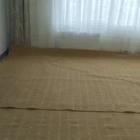 موکت