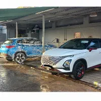 نیروی کارواش