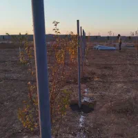 تولیدی و نصب فنس وپایه فنس|عمدهفروشی|شاهدشهر, |دیوار