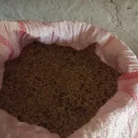محصولات کشاورزی