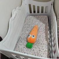 تخت کودک