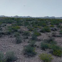 دیمزار تنگه واشی/سرمایه گذاری|فروش دفتر صنعتی، کشاورزی، تجاری|فیروزکوه, |دیوار