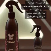 انواع شوینده سطوح لباس مبل و خودرو و...|مواد شوینده و دستمال کاغذی|تبریز, |دیوار