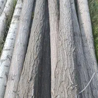 خریدار درخت|خدمات باغبانی و درختکاری|سنقر, |دیوار