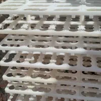 شانه تخم مرغی دستگاه جوجه کشی|لوازم جانبی حیوانات|اسدآباد, |دیوار