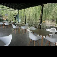 سرمایه گذاری در منطقه گردشگری پرسود|فروش خانه و ویلا|مشهد, کوی سیدی|دیوار