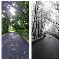 روزانه/هفتگی/کلبه چوبی دو طبقه دربست|اجارهٔ کوتاهمدت ویلا و باغ|شاندرمن, |دیوار