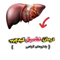 کبدچرب برابراستبا مرگ خاموش|خدمات آرایشگری و زیبایی|باغ بهادران, |دیوار
