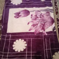 دوعددپتونو ویک دوعددکلاه ایمنی دسته دو