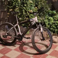 ویوا کانکورد|دوچرخه، اسکیت، اسکوتر|اسفراین, |دیوار