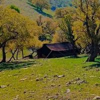سیاه چادر