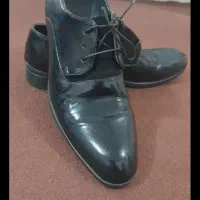 کفش مردونه مجلسی دامادی سایز ۴۳|کیف، کفش، کمربند|تهران, دهکده المپیک|دیوار