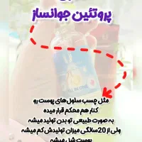 سرم مغذی لاکچری کوین|آرایشی، بهداشتی، درمانی|رشت, کوی مهر|دیوار