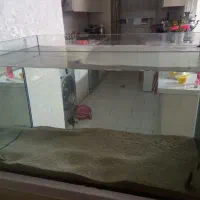 یک عدد آکواریم با سامپ بغل|ماهی|ورامین, ورامین|دیوار