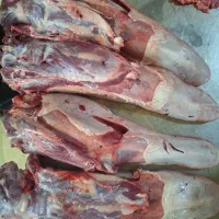 گوشت صورت کله زبان مغز گوساله|خوردنی و آشامیدنی|تهران, نظامی گنجوی (توانیر)|دیوار