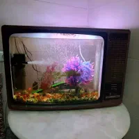 اکواریوم سالم