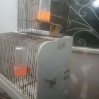 قفس پرنده مسافرتی