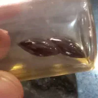 سلام و عرض خسته نباشید مشاور و‌کمک