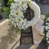 انواع تاج گل سبد گل ماشین عروس از بازار گل به نقا