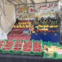چهار چرخ بساط میوه (گاری) مسقف