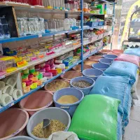 پرنده ...|پرنده|قم, نیروگاه|دیوار