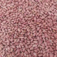 بادام خوش طعم درجه۱|خوردنی و آشامیدنی|اسلام‌شهر, شهرک سعیدیه|دیوار