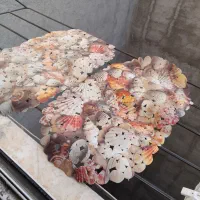 زیر دوشی کاملا نو نو