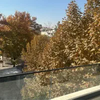 زمین-پاک-جهت-پزشکی