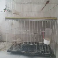 ۳ عدد قفس بزرگ و کوچک با لوازم و مقدار زیادی لوازم