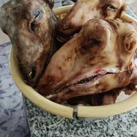 فروش کلپاچه تازه کاور