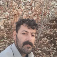 باسلام  چند مدارک گم کردم