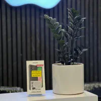 سامسونگ a56 256 r12  از دم قسط و نقد|موبایل|کرج, مهرویلا جنوبی|دیوار