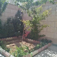 فروش باغ انگور