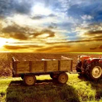 فروش زمین برنج در روستا ابکنار