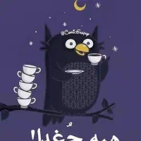 بی خوابی همفکری