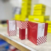 بلبرینگ چرخ جلو  بلریانس سری ۳۰۰