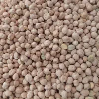 حبوبات درجه یک|خوردنی و آشامیدنی|شیراز, عادل آباد|دیوار